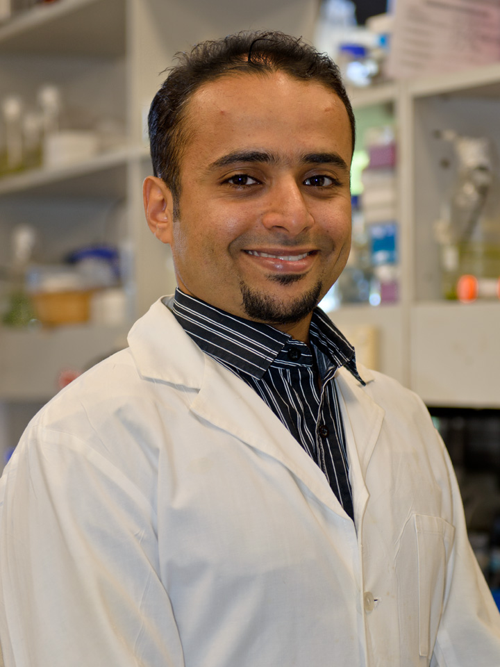 Dr. Faisal Alsenani : Postdoctoral Fellow, Assistant Professor. Faculty of Pharmacy, Umm Al-Qura University